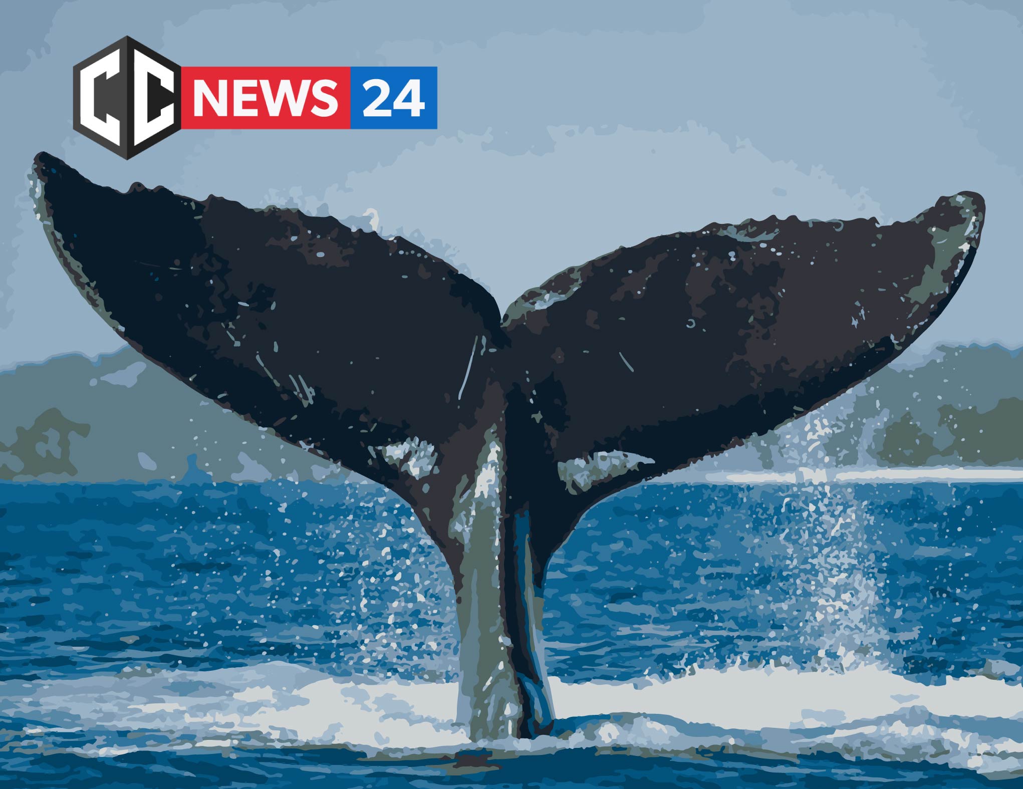 Ripple Whale comes to life and transfers 745 million XRP to unknown address