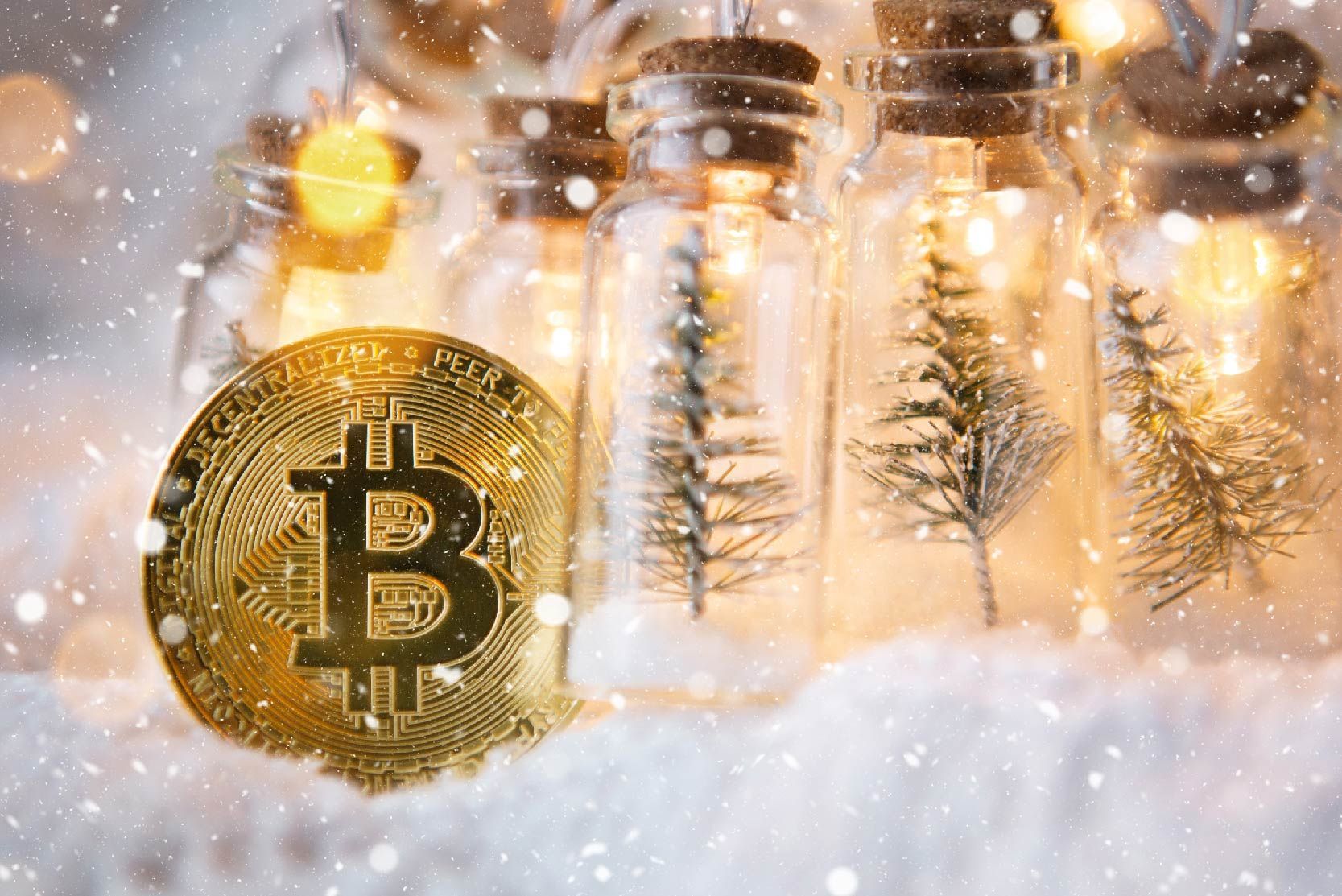 Happy Holidays from CCnews24!