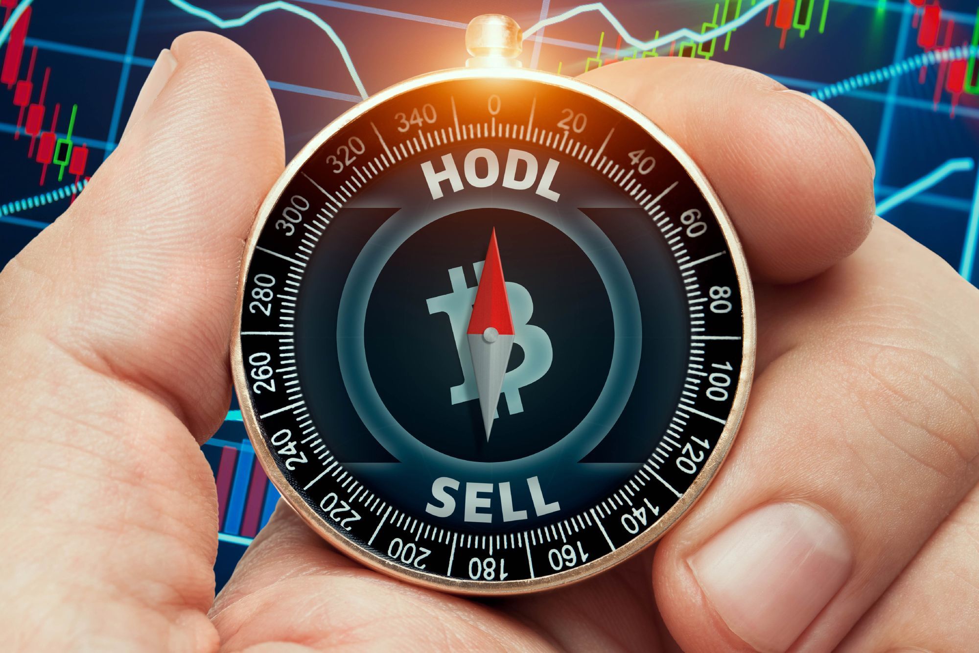 The Number of Bitcoin Holders Reaches a New ATH