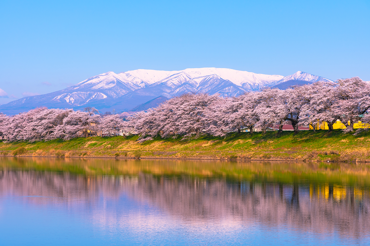 Japanese Bank to Expand to NFTs and Web3 Businesses