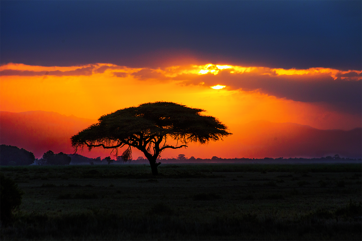 Africa’s Crypto Adoption Rate Continues to Break Records