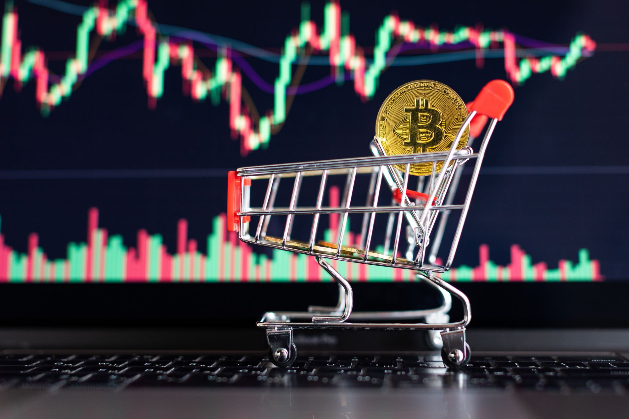 Record Number of Addresses Above 1 Bitcoin Amid Volatile Market