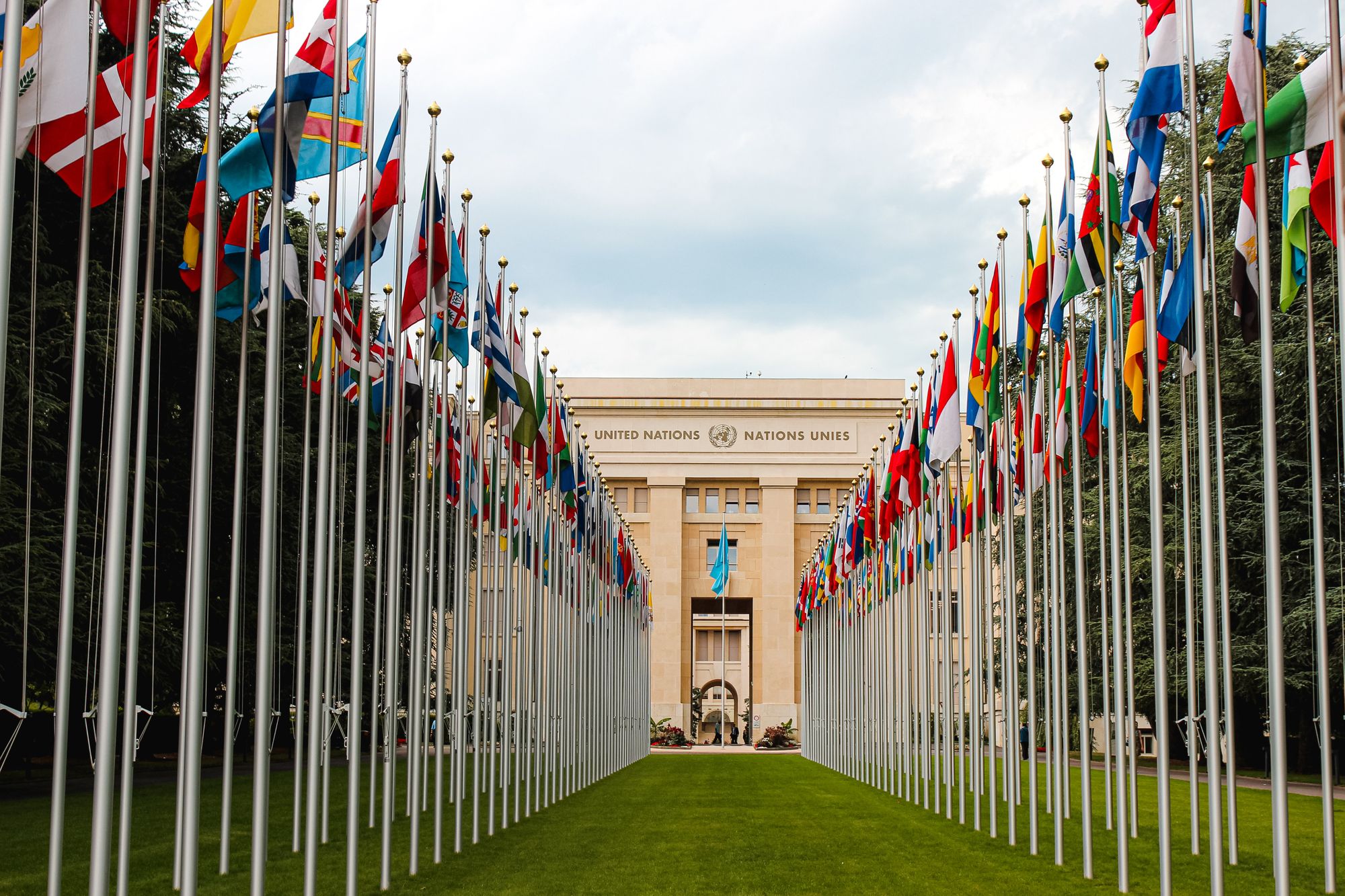 A UN Executive Is Taking The Wheel in the Fight Against Crypto Crime