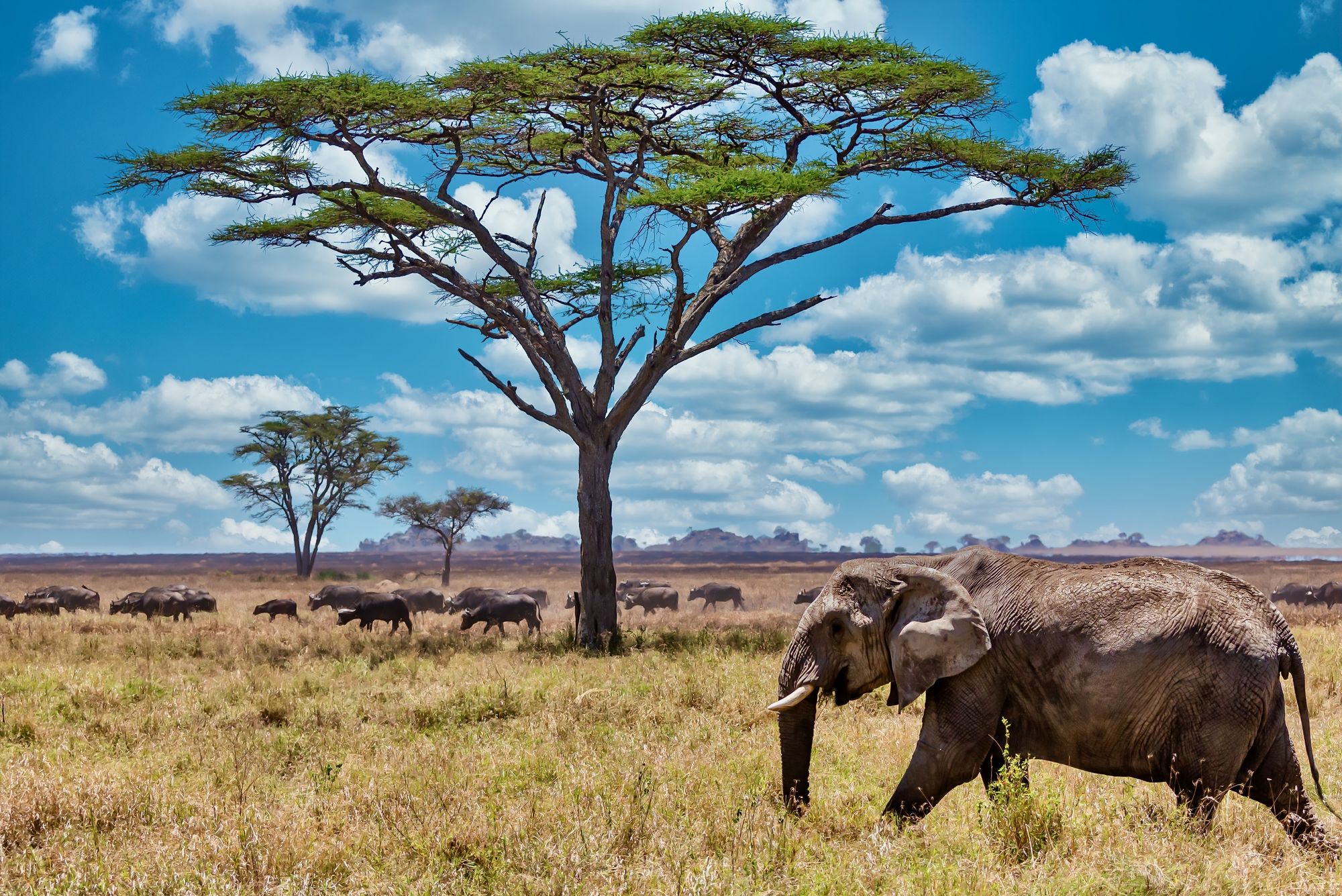Congo Utilizes Hydropower to Mine BTC