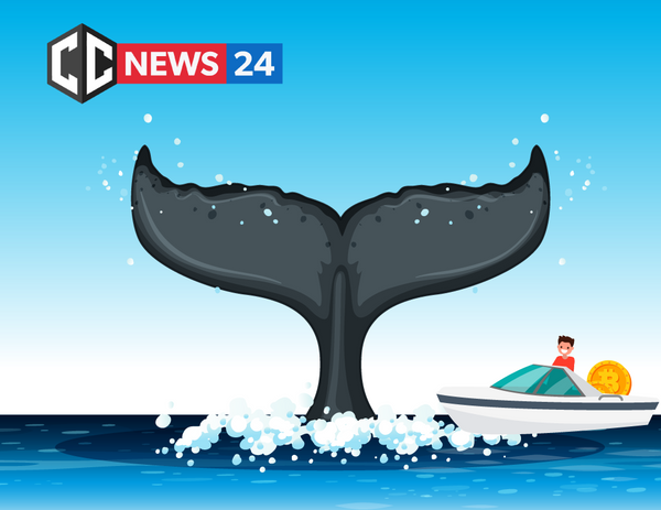 Number of Bitcoin Whales is constantly growing in 2020