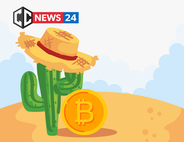 Latin America is experiencing Crypto Boom, Bitso hit 1 million users