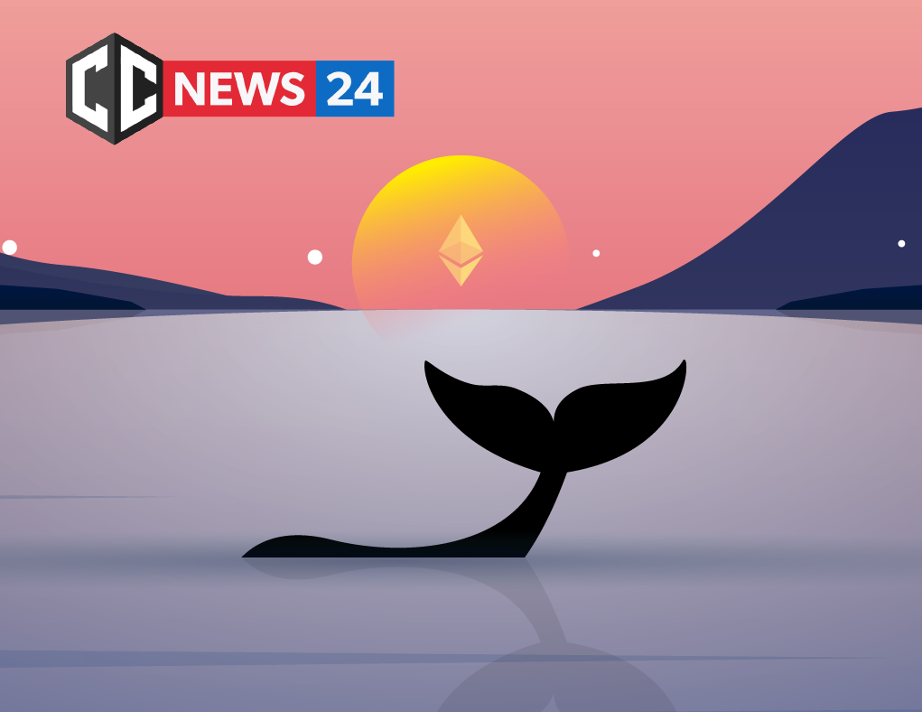 Ethereum records the outflow of whales