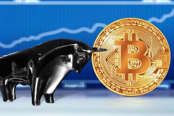 Markets come to life after Elon Musk declared that he owns BTC, ETH and DOGE