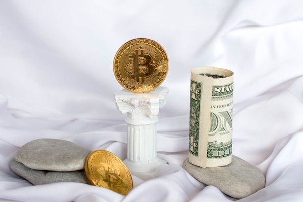 Melania Trump Celebrates Bitcoin’s Birthday (Despite Trump’s Disapproval)