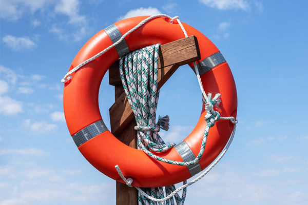 To Bail Out or Not to Bail Out? Opinions Vary