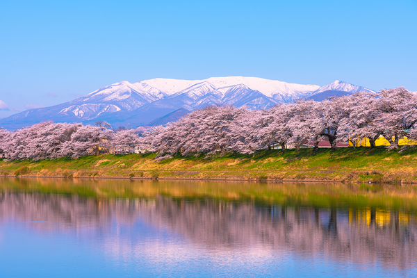Japanese Bank to Expand to NFTs and Web3 Businesses