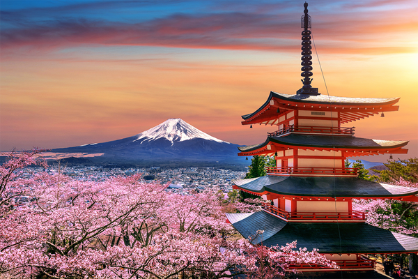 Japan’s Central Bank Puts Off Plans For CBDC