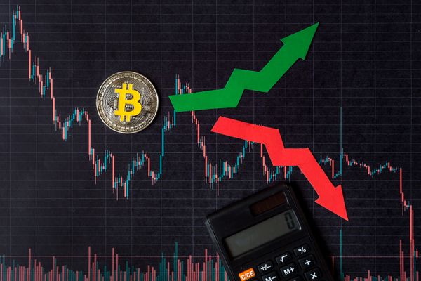 2022 Witnesses a Drop in Crypto Interest